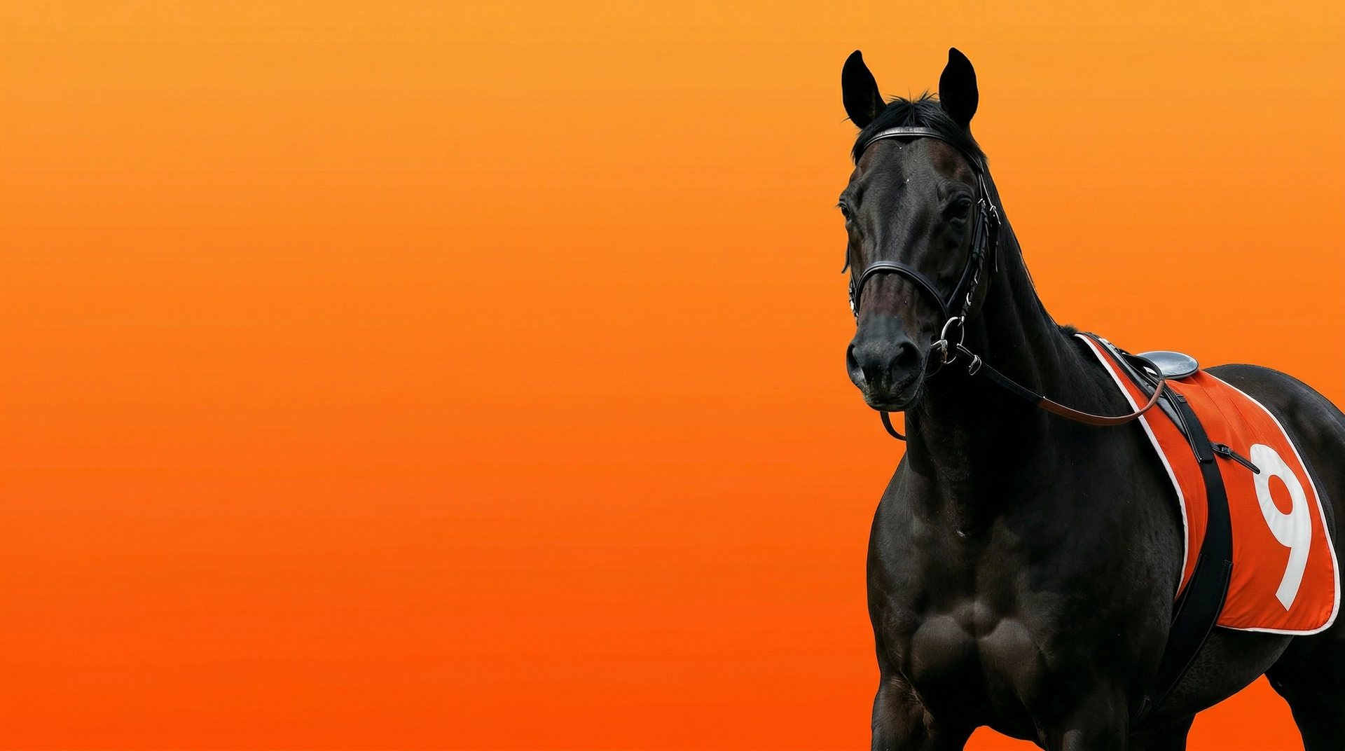 Orange horse